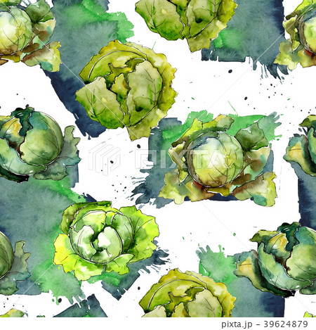 Green cabbage vegetables in a watercolor styl Green cabbage vegetables in a watercolor styl 39624879
