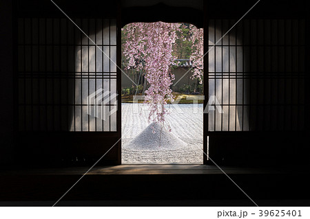 春の高台寺 39625401
