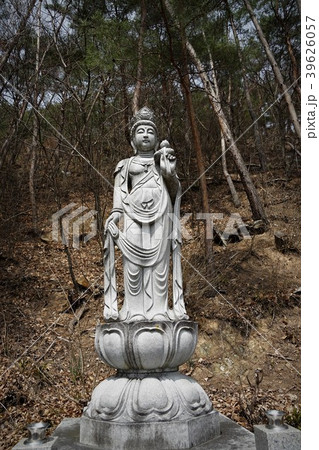 善徳寺観音山(聖観音様) 善徳寺観音山(聖観音様) 39626057