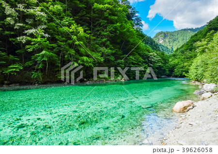 伊奈川渓谷（７月） 39626058