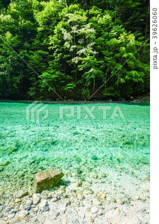 伊奈川渓谷（７月） 39626060