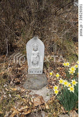 善徳寺(観音山)三十三観音様 善徳寺(観音山)三十三観音様 39626091