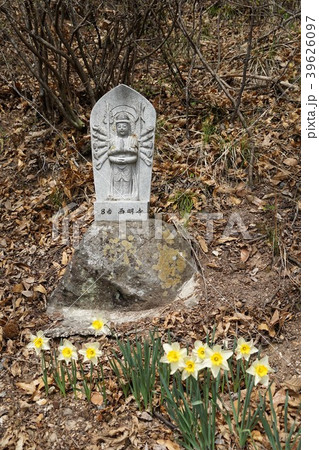 善徳寺(観音山)三十三観音様 善徳寺(観音山)三十三観音様 39626097