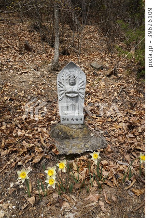善徳寺(観音山)三十三観音様 善徳寺(観音山)三十三観音様 39626109