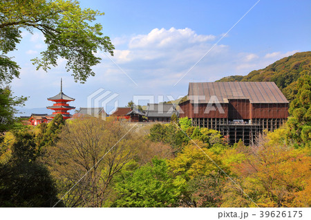清水寺 本堂全景 清水寺 本堂全景 39626175