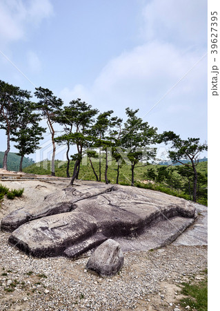 ウンジュサ 石像 岩 39627395