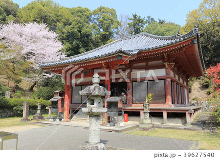 四国霊場第69番札所「観音寺」本堂の桜 39627540