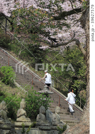 四国霊場第69番札所「観音寺」薬師堂の桜とお遍路さん 四国霊場第69番札所「観音寺」薬師堂の桜とお遍路さん 39627579