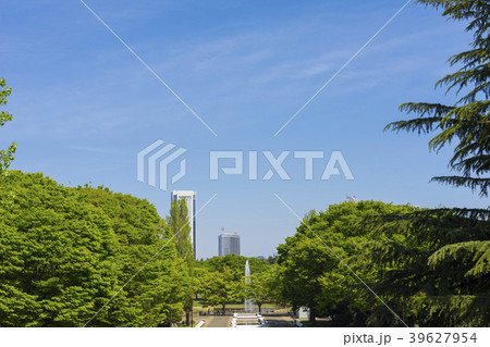 青空と新緑の公園 青空と新緑の公園 39627954