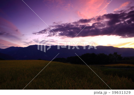 秋の夕焼けの田んぼ 39631329