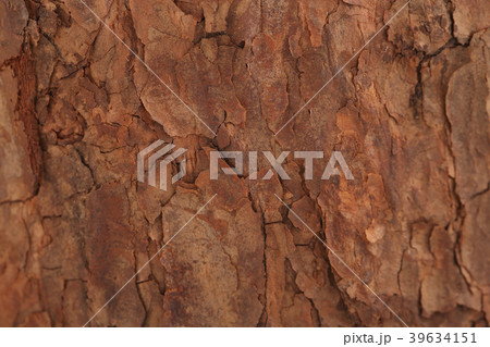 Various microscopic images, the surface of a particular object photography. 256 39634151