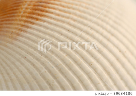Various microscopic images, the surface of a particular object photography. 267 39634186