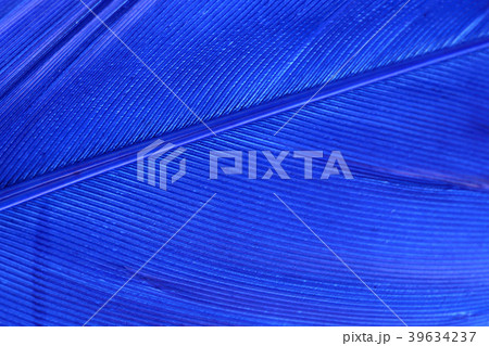 Various microscopic images, the surface of a particular object photography. 236 39634237