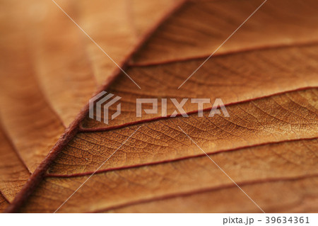 Various microscopic images, the surface of a particular object photography. 071 39634361