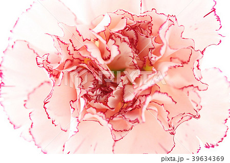 Various microscopic images, the surface of a particular object photography. 057 39634369