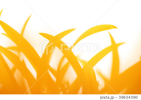 Various microscopic images, the surface of a particular object photography. 039 39634390