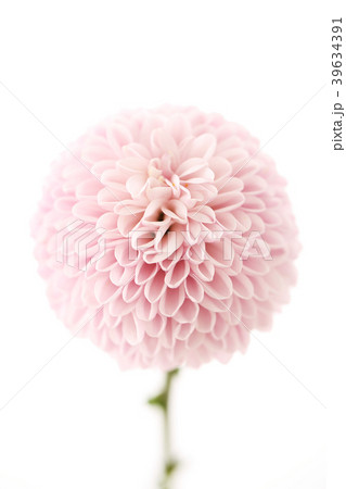 Various microscopic images, the surface of a particular object photography. 004 39634391