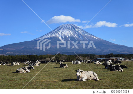朝霧高原へ行きました #2-21 朝霧高原へ行きました #2-21 39634533
