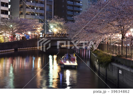 2018年春 夜の横浜市 大岡川の桜 2018年春 夜の横浜市 大岡川の桜 39634862