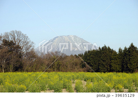 大山と菜の花　鳥取県伯耆町金屋谷 39635129