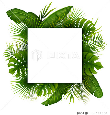 Tropical green leaves with white square frame plac Tropical green leaves with white square frame plac 39635228