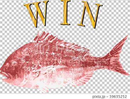 真鯛（赤）とWIN文字 39635252