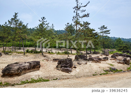 風景 木 ドルメン 39636245