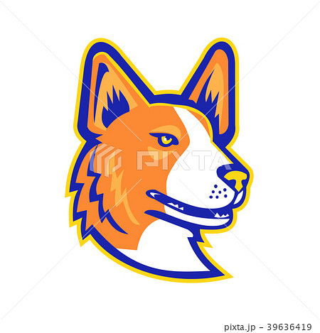 Cardigan Welsh Corgi Head Mascot 39636419
