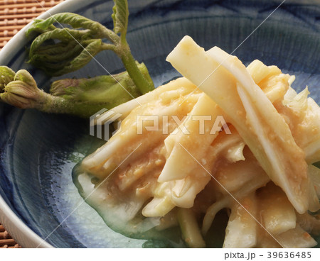 ウド 酢味噌 ウド 酢味噌 39636485