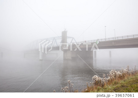 an froggy bridge 39637061