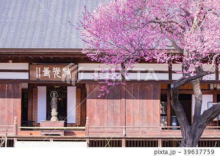 山梨県甲州市　放光寺の春 39637759
