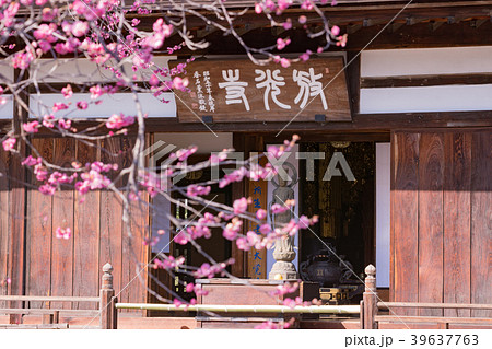 山梨県甲州市　放光寺の春 39637763