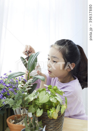 人物 子供 植木鉢 39637880