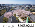 和歌山城の桜 39639288