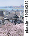 和歌山城の桜 39639289