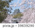 和歌山城の桜 39639290