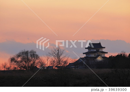 関宿城（せきやどじょう）　千葉県野田市 39639300