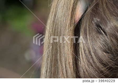 毛 髪の毛 髪 39640229
