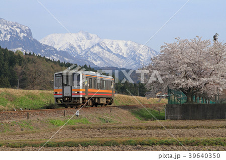 大糸線　非電化区間の春 39640350