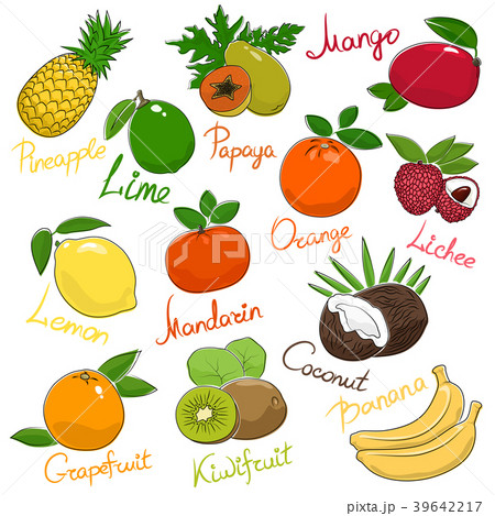 Set of Tropical and Citrus Fruits 39642217