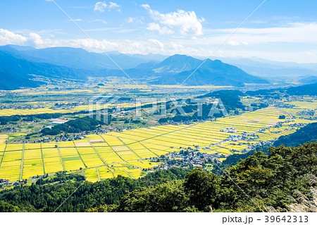 秋の農村風景（９月） 39642313