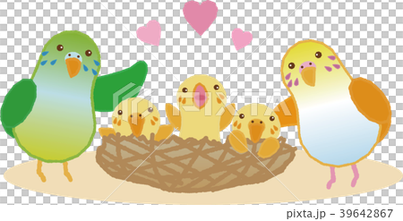 Family 2 39642867
