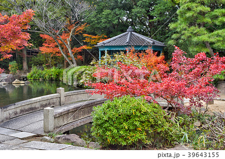 四天王寺の紅葉 四天王寺の紅葉 39643155