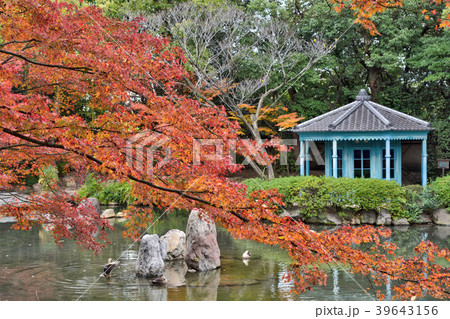 四天王寺の紅葉 39643156