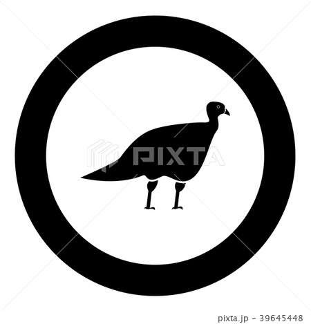 Turkeycock black icon in circle Turkeycock black icon in circle 39645448