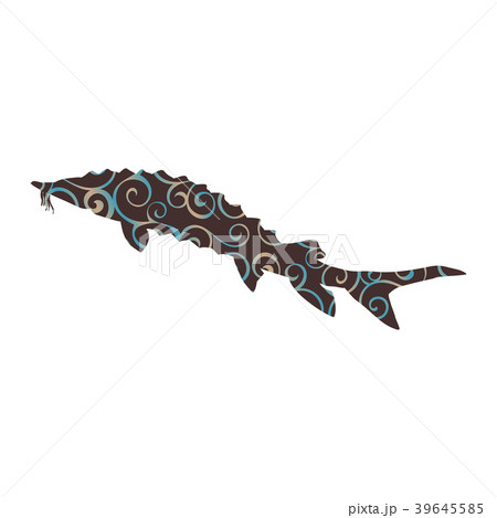 Sturgeon fish spiral pattern color silhouette Sturgeon fish spiral pattern color silhouette 39645585