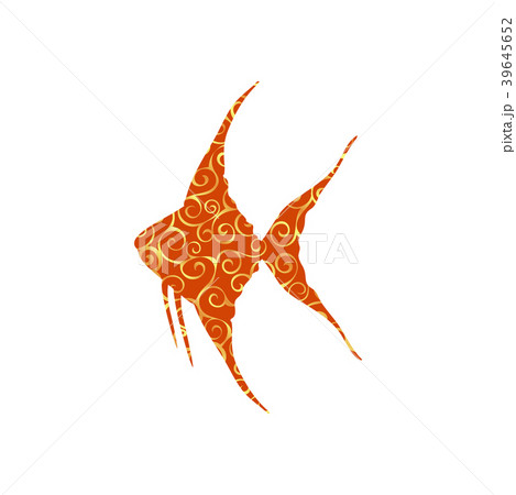 Scalare fish spiral pattern color silhouette Scalare fish spiral pattern color silhouette 39645652