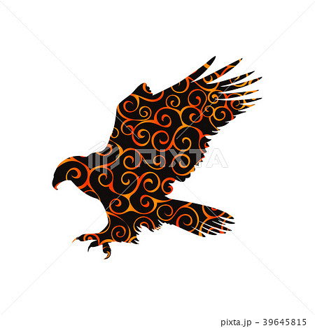 Hawk Eagle Falcon Bird Spiral Pattern Colorのイラスト素材