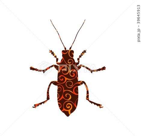 Beetle insect spiral pattern color silhouette 39645913