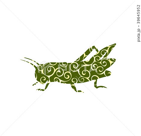 Locust grasshopper insect spiral pattern color 39645952